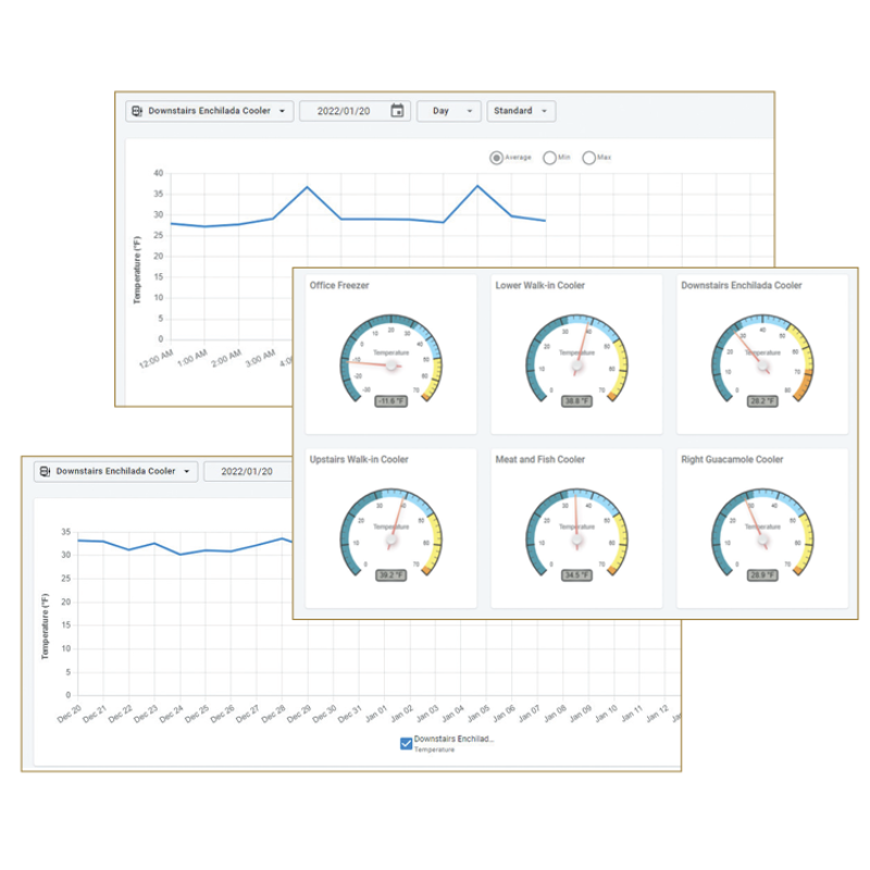 Modularm TMS Example Reports